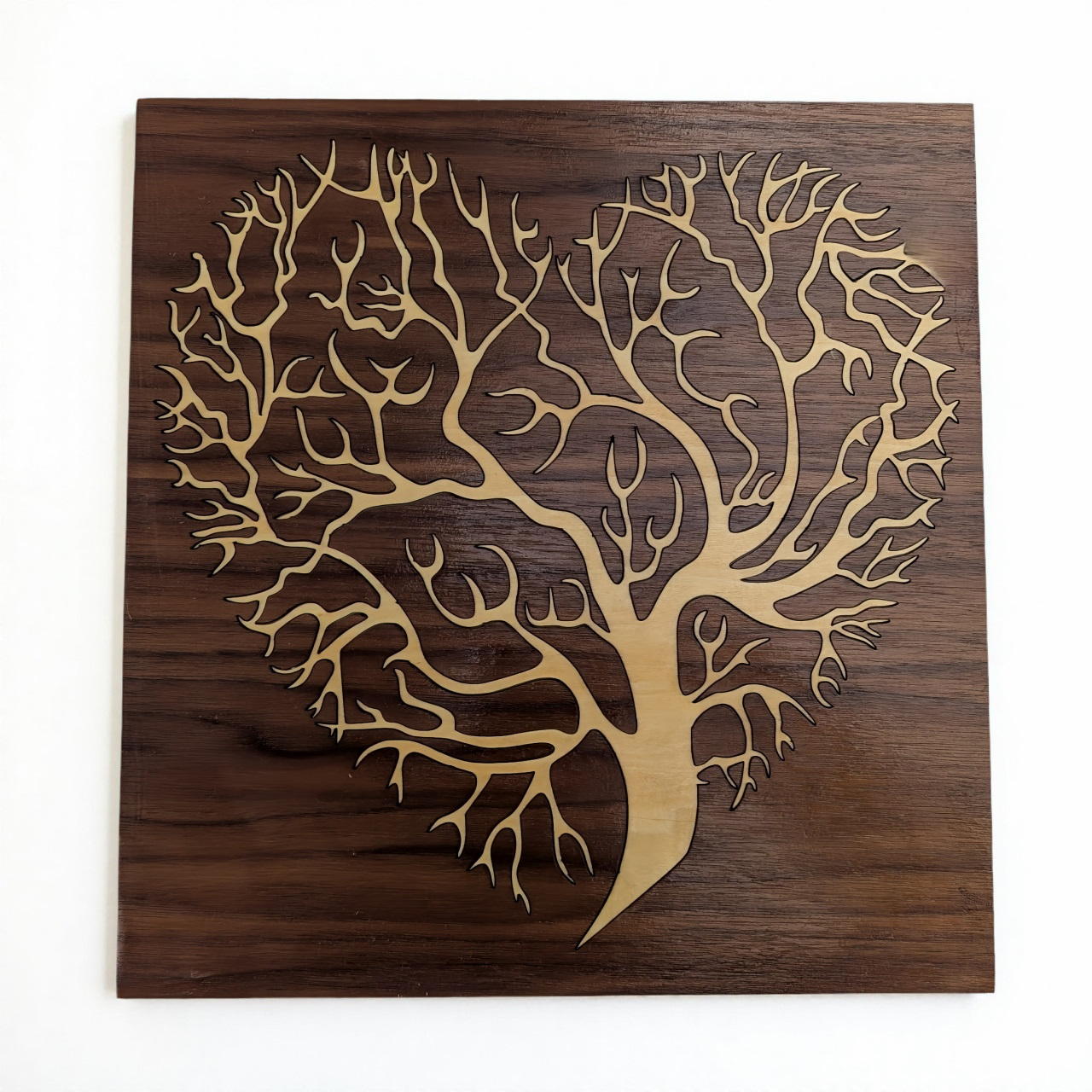 À Aurore – Image 3